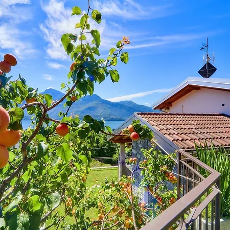 Rosa Dei Venti * Gravedona