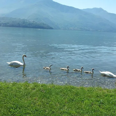 Rosa Dei Venti Gravedona
