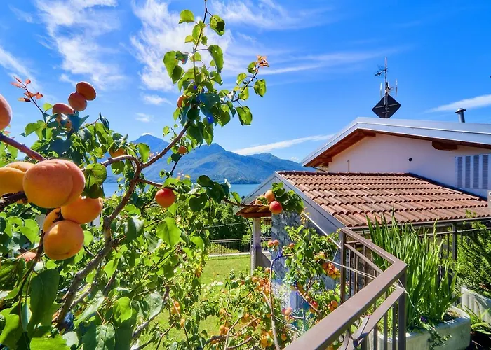 Rosa Dei Venti * Gravedona