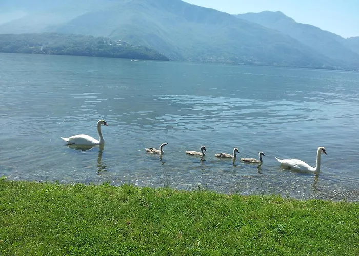 Rosa Dei Venti Gravedona